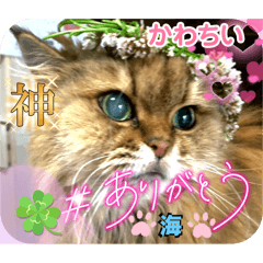 [LINEスタンプ] mayuにゃんパート1