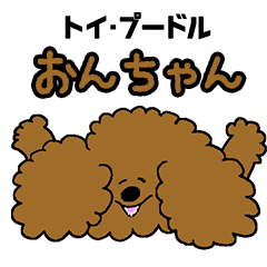 [LINEスタンプ] トイ・プードルおんちゃん