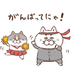 [LINEスタンプ] 目付きの悪い猫【ねこ語2】