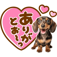 [LINEスタンプ] デカ文字♡ダックスフンド