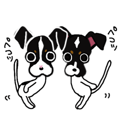 [LINEスタンプ] 日本テリアの霧＆虎2