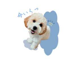 [LINEスタンプ] ぷうのゆるい日常