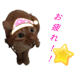 [LINEスタンプ] ミャウナーウルル
