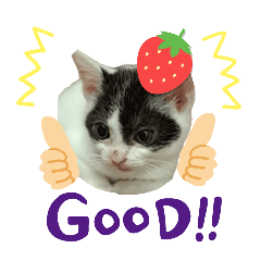 [LINEスタンプ] piliさんちのルナちゃんラナちゃんスタンプ
