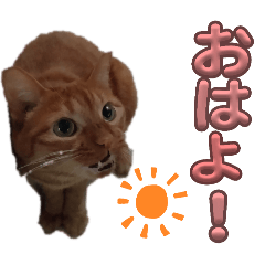[LINEスタンプ] 並木のすずどまり