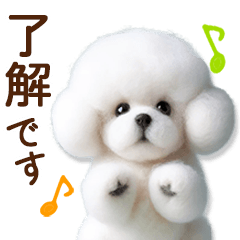 [LINEスタンプ] ずっと一緒♡羊毛ビションフリーゼ家族連絡