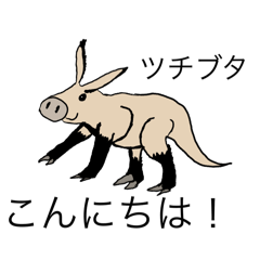 [LINEスタンプ] 毎日使える珍しい動物スタンプ