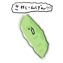 [LINEスタンプ] シンプル さやいんげん 日常会話の画像（メイン）