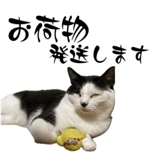 [LINEスタンプ] みい子日常使い12