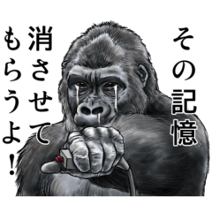 [LINEスタンプ] ゴリラ好きのための使えるリアルゴリラ2