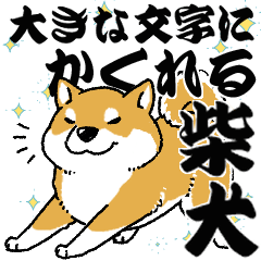 [LINEスタンプ] 柴犬スタンプ30～大きな文字に隠れる柴犬～