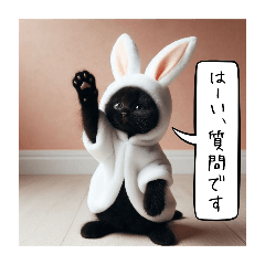 [LINEスタンプ] オコジョすたんぷ(黒猫あず吉バージョン)