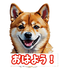 [LINEスタンプ] 柴犬の芸術作品