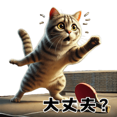 [LINEスタンプ] 卓球大好き猫の日常会話で使えるスタンプ