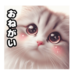 [LINEスタンプ] 使える！可愛い猫ちゃんの一言スタンプ