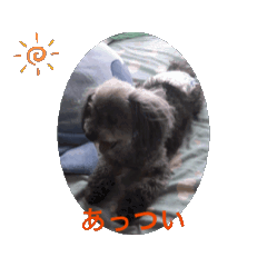 [LINEスタンプ] 犬だニョーん6