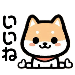 [LINEスタンプ] がっつり柴犬