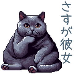 [LINEスタンプ] 彼女を褒める黒猫彼氏【カップル・彼女】