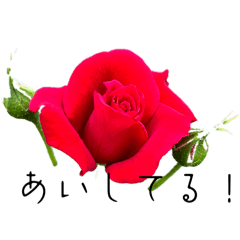 [LINEスタンプ] 薔薇の語らい