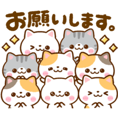 [LINEスタンプ] ちいさな♡ねこねこにゃんこの画像（メイン）