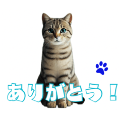 [LINEスタンプ] ねこまみれ！40匹のかわいいにゃんこたちの画像（メイン）