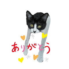 [LINEスタンプ] ペロ家の人々（動きません）