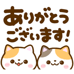 [LINEスタンプ] 猫ちゃんデカ文字♡可愛い吹き出しの画像（メイン）