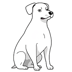 [LINEスタンプ] 犬のさまざまな表情の鉛筆スケッチ