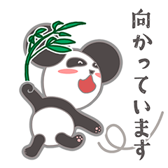 [LINEスタンプ] つんつんでれでれパンダさん