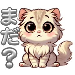 [LINEスタンプ] お目目まん丸ねこ