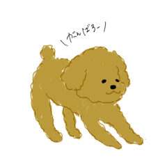 [LINEスタンプ] トイプードルのあーちゃん③