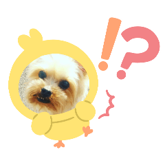 [LINEスタンプ] むーちゃんカワ