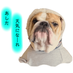 [LINEスタンプ] I am 28 ♥ part.7