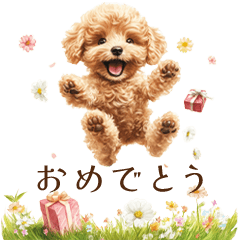 [LINEスタンプ] トイプードル｜お祝いスタンプの画像（メイン）