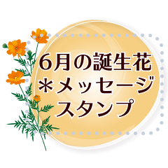 [LINEスタンプ] 6月の誕生花＊メッセージスタンプ