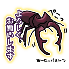 [LINEスタンプ] ラフ 昆虫 図鑑 50音【ノ】〜【ン】 虫