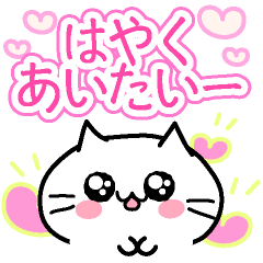 [LINEスタンプ] かわゆい猫♡毎日♡らぶらぶ