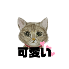 [LINEスタンプ] クルミさんの似顔絵スタンプPart2