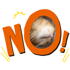 [LINEスタンプ] 茶トラのあるくん