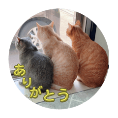 [LINEスタンプ] ちゃぴもかすみこ