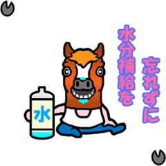 [LINEスタンプ] こんなの被ってみました2