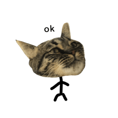 [LINEスタンプ] ー猫