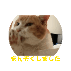 [LINEスタンプ] ジャンピング・ホッピング・きなこもち