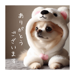 [LINEスタンプ] オコジョすたんぷ(白クマぽん吉)