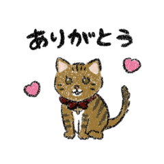 [LINEスタンプ] えぶりでい＊ニャンコ