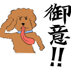 [LINEスタンプ] 【美文字】と【雑トイプー】