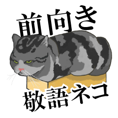 [LINEスタンプ] 前向きな敬語のネコ