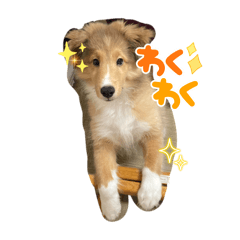 [LINEスタンプ] ルーク 幼犬