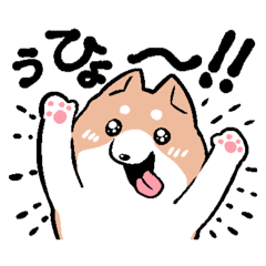 [LINEスタンプ] ちょっとうざい態度のうるさい犬