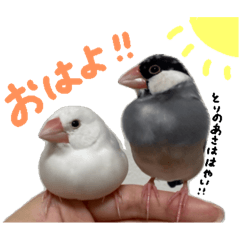 [LINEスタンプ] さくらもちおもち